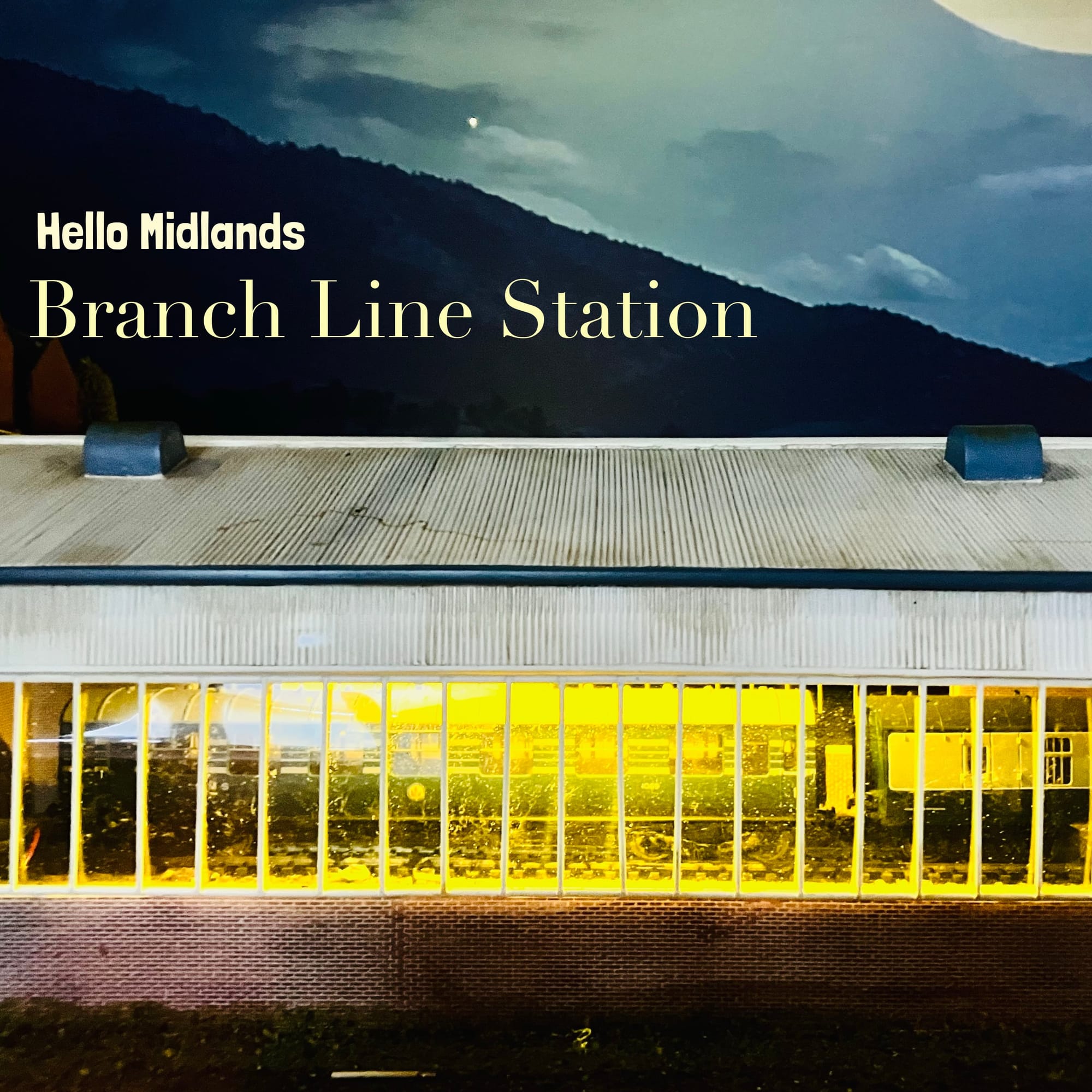 Branch Line Station - early review from Trust The Doc!