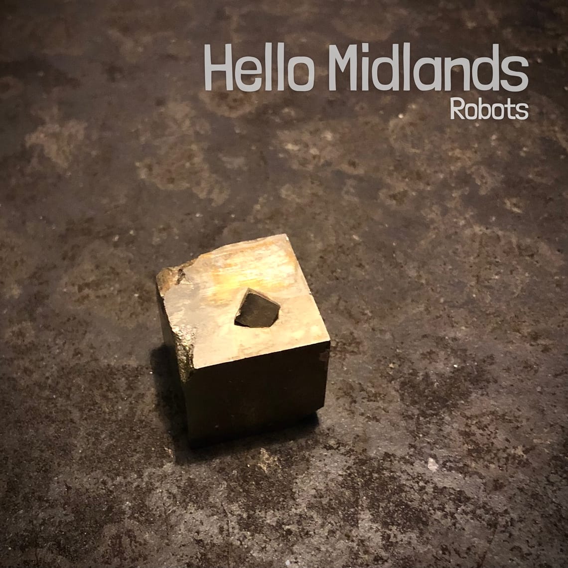 Robots